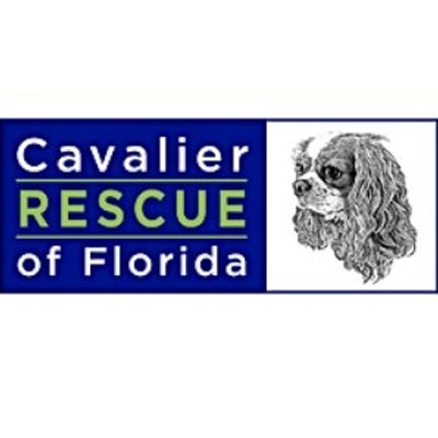 Cavalier Rescue of Florida