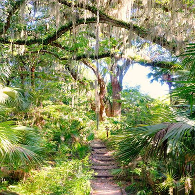 Brevard County Enchanted Forest Sanctuary